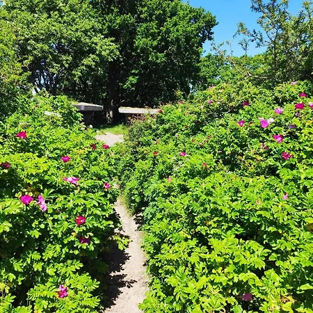 Tatil Evi 8 Person In Sjolund-by Traum Hejls